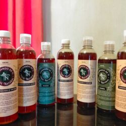 SHAMPOO DE SABILA